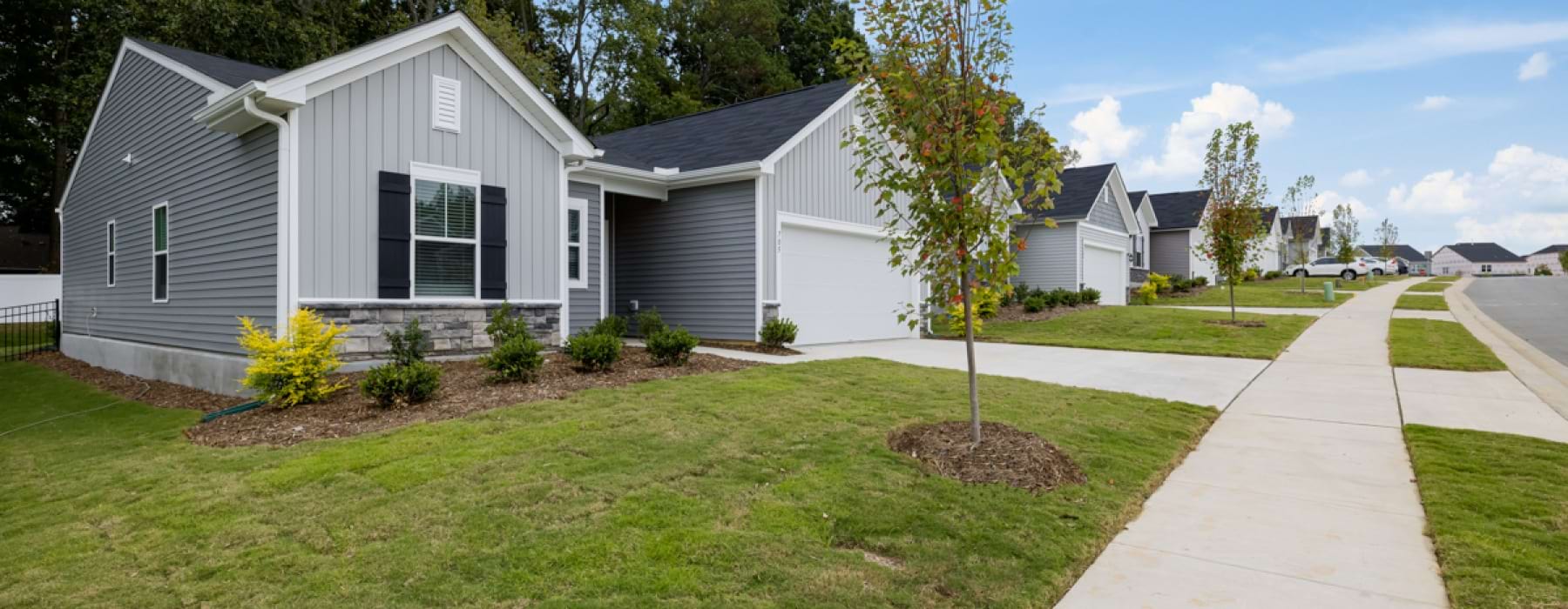 Why Rent? More Freedom. More Comfort. More Life.