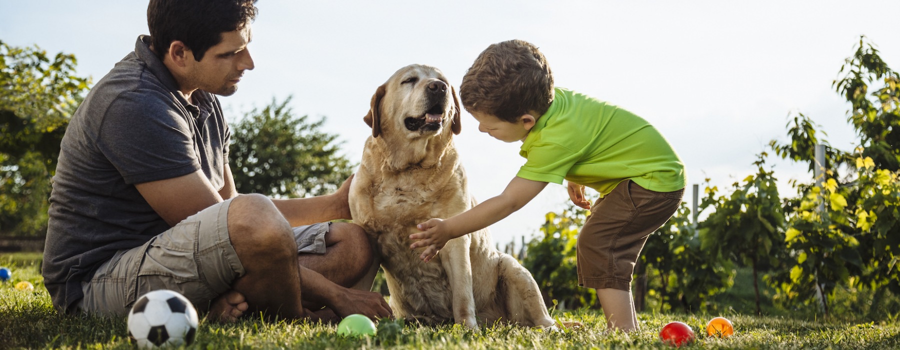 man and child playing with dog